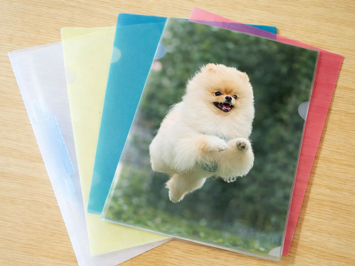 クリアファイル